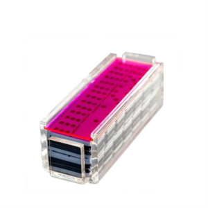 Berbagai Warna Etalase Plexiglass Dominoes Set Neon Acrylic Case