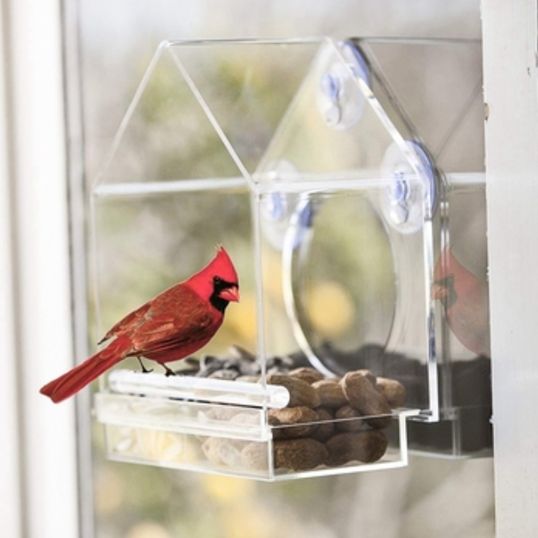 Transparent wild Pet Cage suction cup Premium Sliding Tray Kunja kwa Perspex acrylic clear househouse bird feeder wit